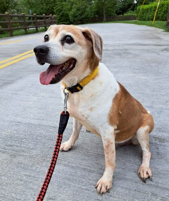 messageImage_1764059004356_0 - 報新聞 Mega News