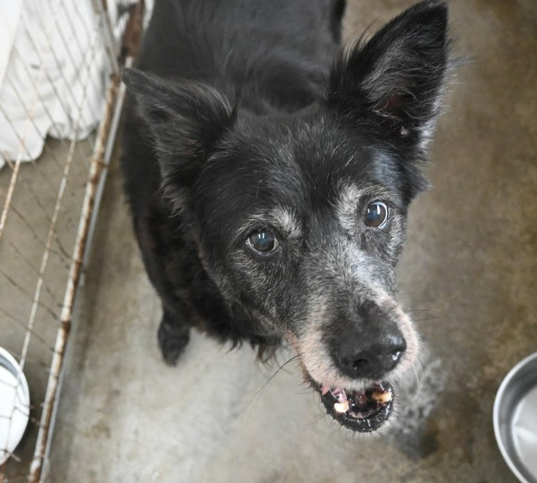 messageImage_1764059021930_0 - 報新聞 Mega News