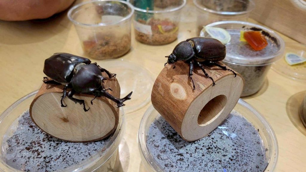 S__465756169 - 報新聞 Mega News