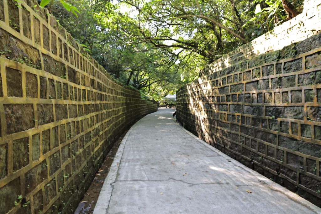 S__474955798_0 - 報新聞 Mega News