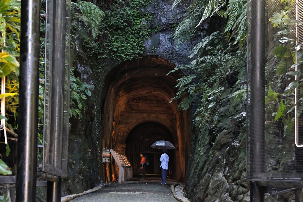 S__474955801 - 報新聞 Mega News